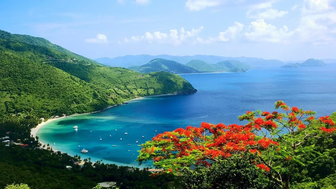 高效全自动高标准